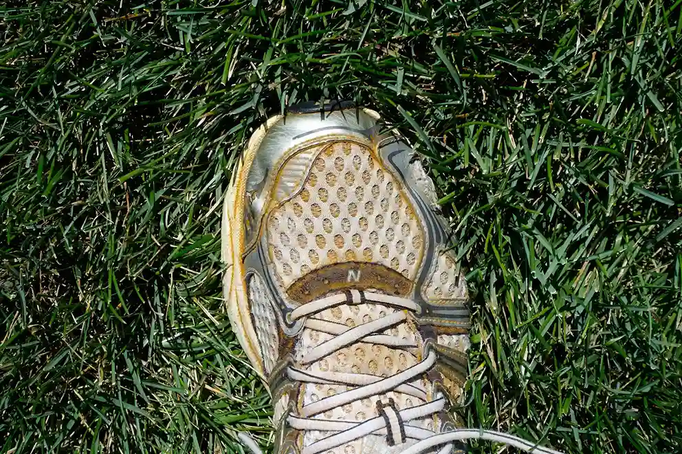 jamur sepatu - shoeporter