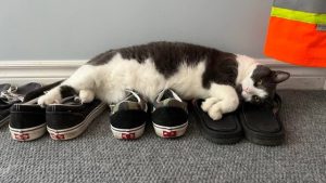 Cuci Sepatu Terdekat - shoeporter