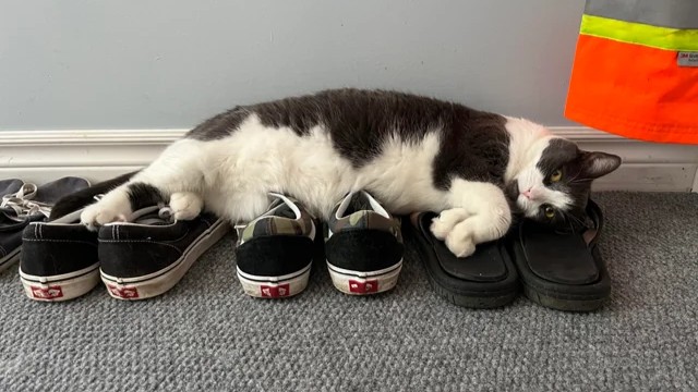 Cuci Sepatu Terdekat - shoeporter